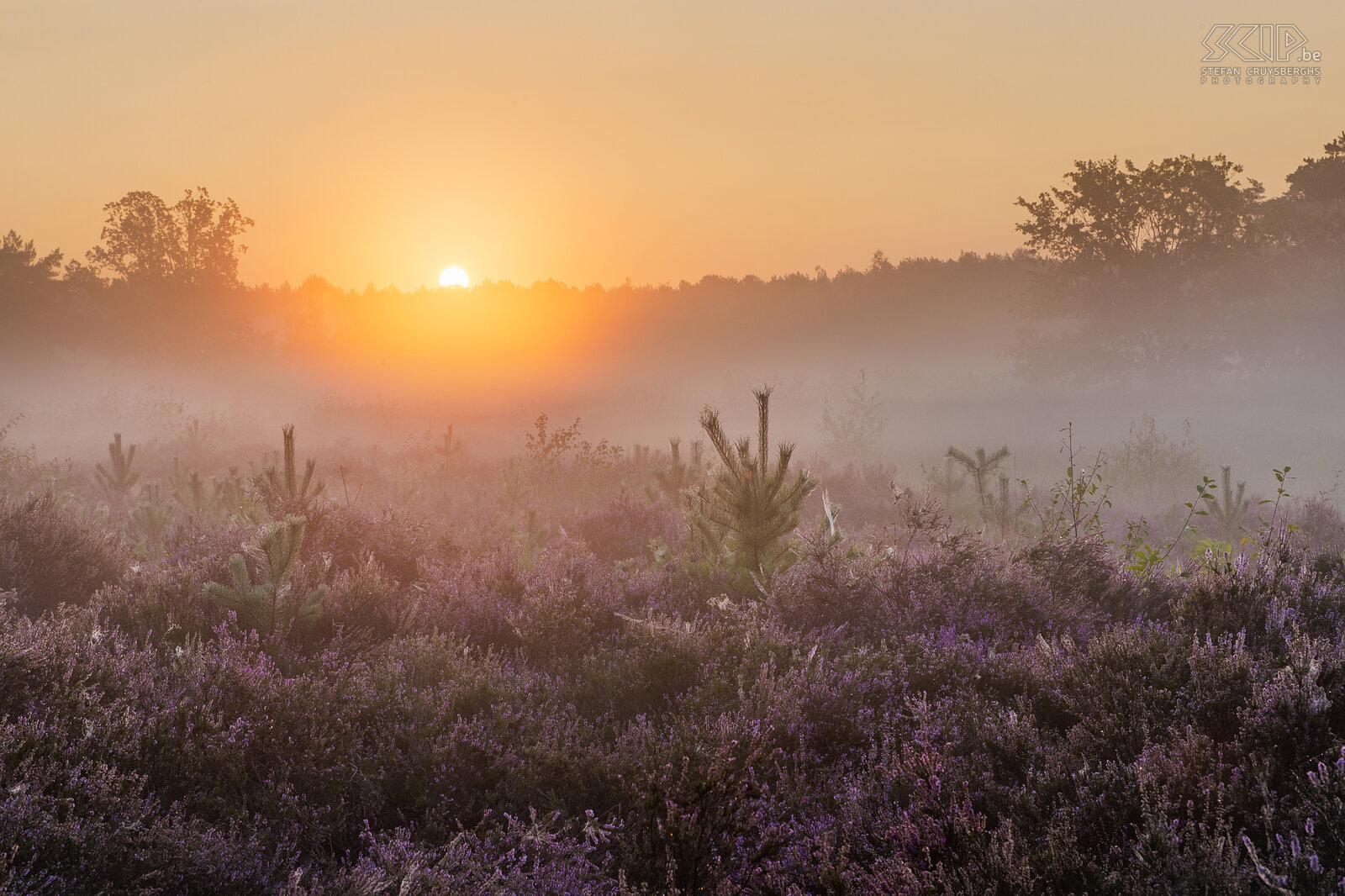 Sunrise in Gerhagen Sunrise at the beautiful heathland of Gerhagen in Tessenderlo, Limburg. Stefan Cruysberghs